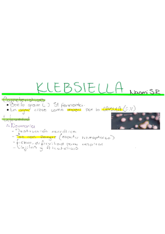 Klebsiella-.pdf