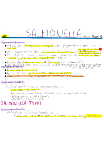 Salmonella.pdf