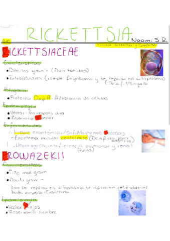 Rickettsia-.pdf