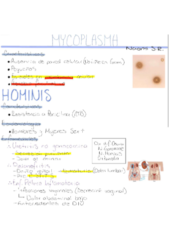Mycoplasma-.pdf