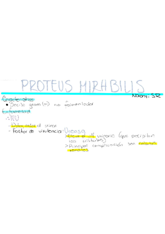 Proteus-Mirabilis-.pdf