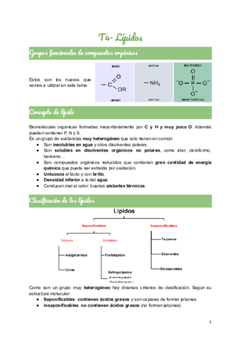 T4-Lipidos.pdf