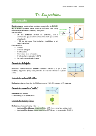 T5-Las-proteinas.pdf