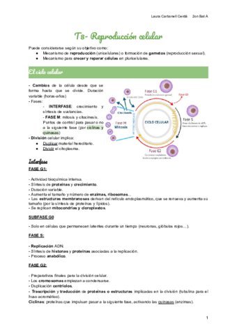 T8-Reproduccion-celular.pdf
