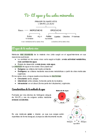 T2-El-agua-y-las-sales-minerales.pdf