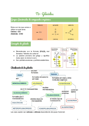 T3-Glucidos.pdf