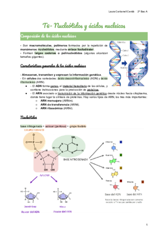 T6-Nucleotidos-y-acidos-nucleicos.pdf