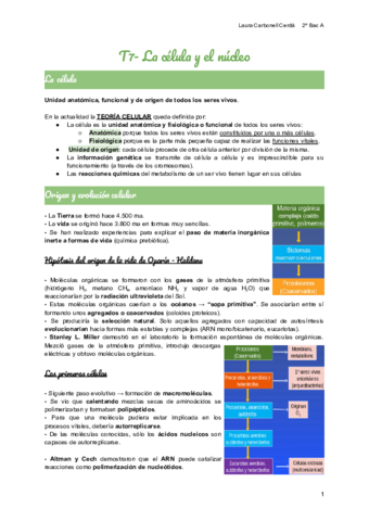 T7-La-celula-y-el-nucleo.pdf