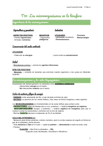 T19-Los-microorganismos-en-la-biosfera.pdf