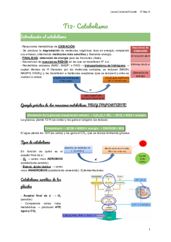 T12-Catabolismo.pdf