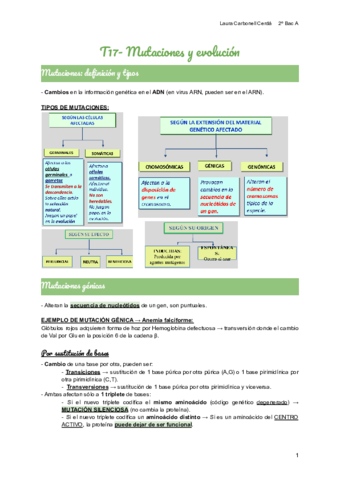 T17-Mutaciones-y-evolucion.pdf