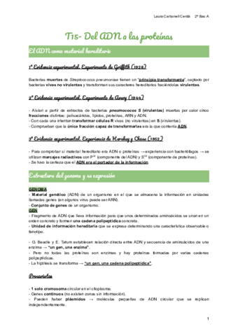 T15-Del-ADN-a-las-proteinas.pdf