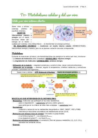 T11-Metabolismo-celular-y-del-ser-vivo.pdf