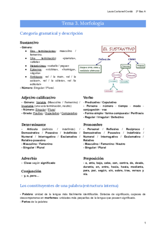 Tema-3-Morfologia.pdf