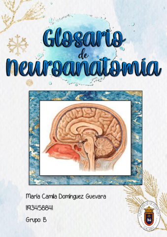 Glosario-Neuro-COMPLETO.pdf