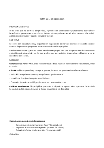 Tema-16.pdf