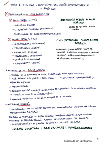 Esquema Resumen Tema Pdf