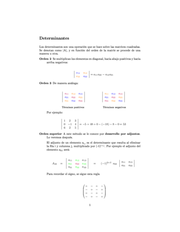 Determinantes.pdf