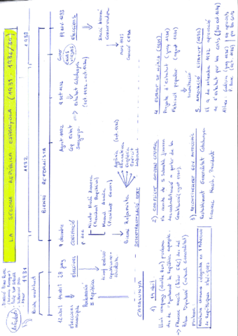 3.pdf