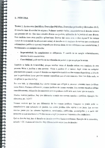 Apuntes-Civil.pdf