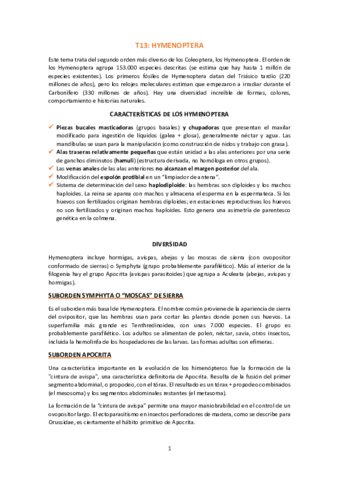 T13-Hymenoptera.pdf