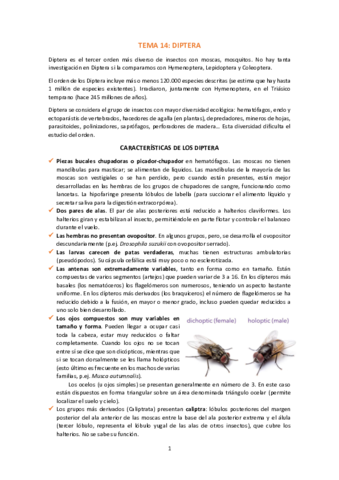 T14-Diptera.pdf
