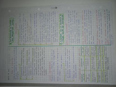 20220811124827.jpg