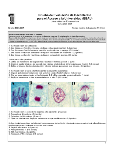 Examen-Biologia-de-Extremadura-Extraordinaria-de-2021-2-1.pdf