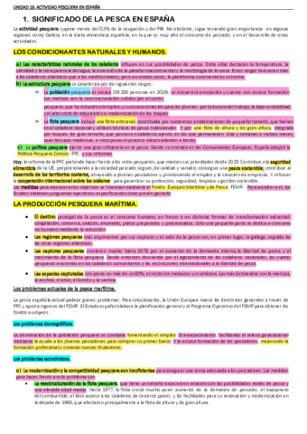 T13-GEOGRAFIA.pdf