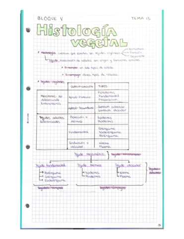 Bloque-V.pdf