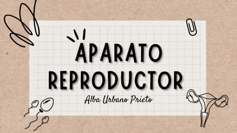 Reproductivo-PP.pdf