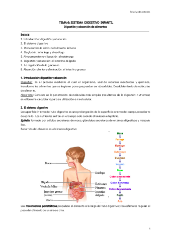 TEMA-6-SISTEMA-DIGESTIVO-INFANTIL.pdf