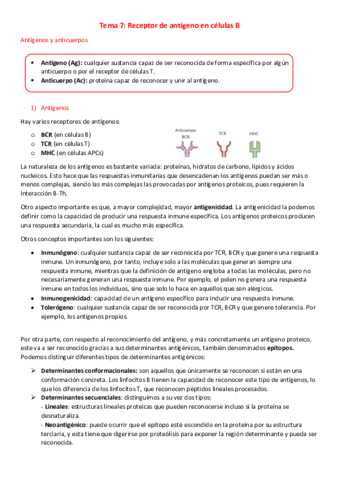 T7-I-Receptor-de-antigeno-en-celulas-B.pdf