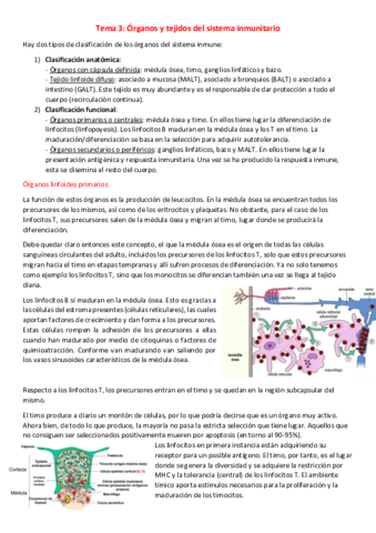 T3-I-Organos-y-tejidos-del-sistema-inmunitario.pdf