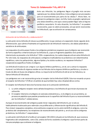 T15-I-Colaboracion-T-B-y-APC-T-B.pdf