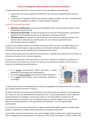 T13-I-Ontogenia-y-diferenciacion-en-el-timo-de-linfocitos-T.pdf