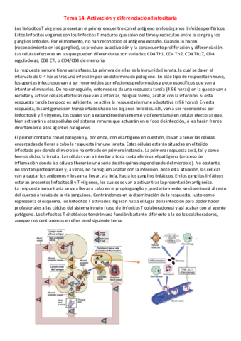 T14-I-Activacion-y-diferenciacion-linfocitaria.pdf