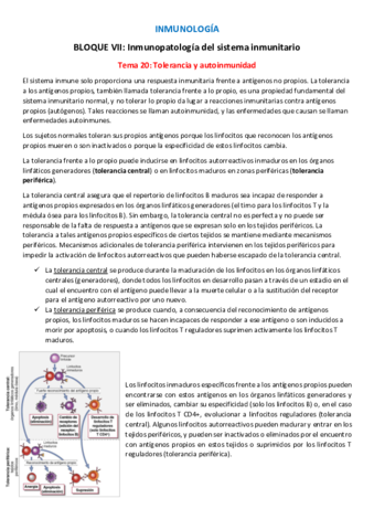 T20-I-Tolerancia-y-autoinmunidad.pdf