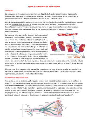 T19-I-Extravasacion-de-leucocitos.pdf