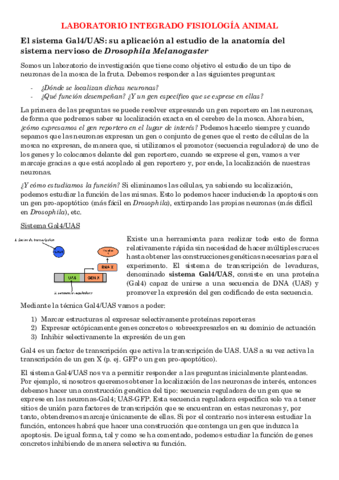 Laboratorio-integrado-fisiologia-animal-TODA-LA-TEORIA.pdf