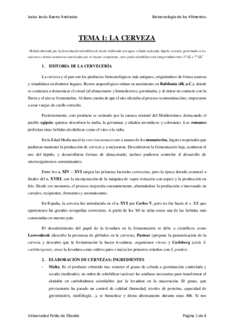 Tema-1.pdf