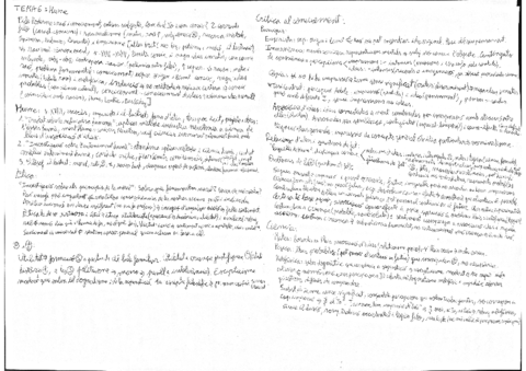 Hume.pdf