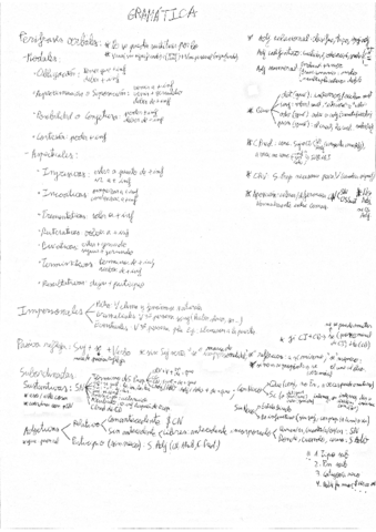 GramaticaMorfologia.pdf