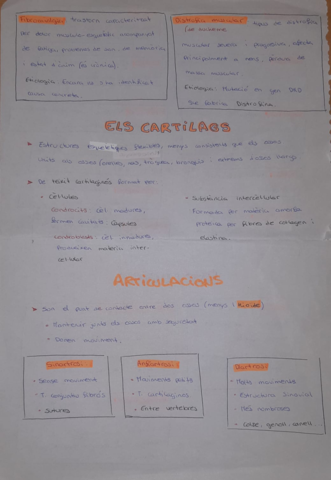 Aparell-locomotor-part-2.pdf