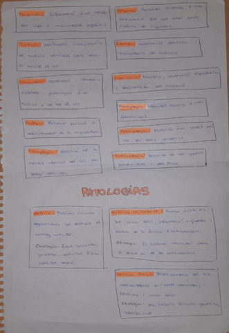 patologias-aparato-locomotoro.pdf