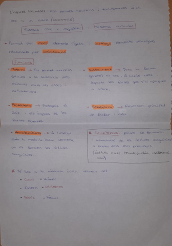 Aparell-locomotor-Part-1.pdf