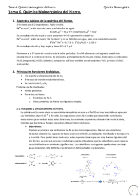 Tema 6. Bioquímica del hierro..pdf