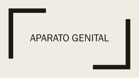 8-Repro.pdf