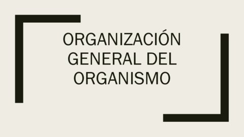 1-Organizacion-general-dle-organismoC.pdf