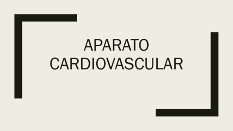 10-Cardio.pdf